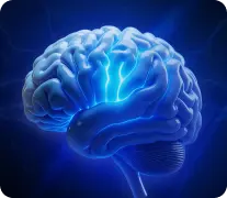 VPS for Expert Advisors (EAs) and Trading Bots